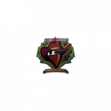 Sticker | Renegades (Holo) | Berlin 2019