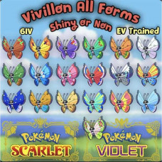✨ Vivillon Bundle 6IV Battle ready