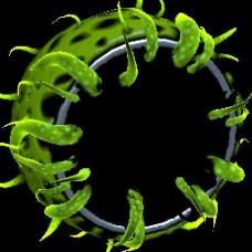 Creeper | Lime