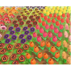 Bundle | 40 Hybrid / Flowers