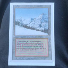 MTG Revised Edition Taiga