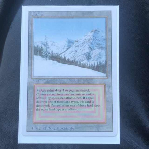 MTG Revised Edition Taiga